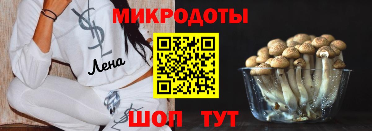 Псилоцибиновые грибы Magic Shrooms  Псилоцибиновые грибы Psilocybe  Егорьевск  как найти наркотики  Вход с VPN 