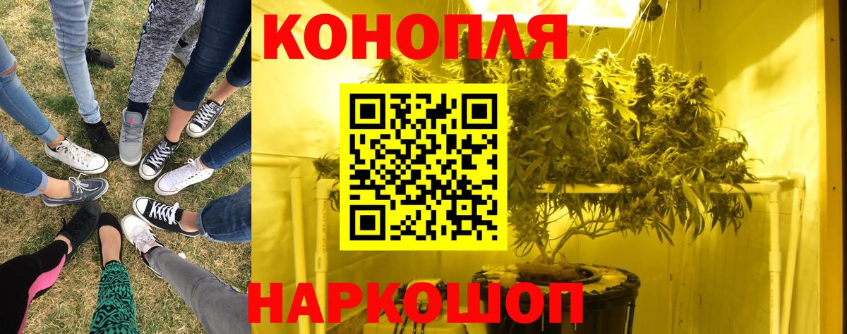 МАРИХУАНА OG Kush Егорьевск